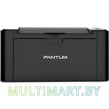 Принтер Pantum P2207
